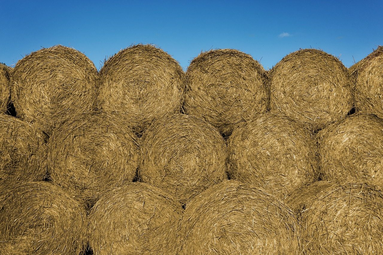 Bales of Straw